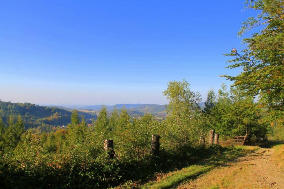 Beskidzki Domek Caloroczny Andrychów Extérieur photo